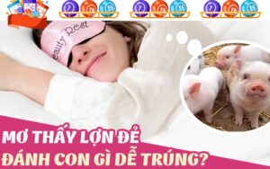 Mơ thấy lợn đẻ con đánh số gì dễ trúng? Số may mắn 35 - 75