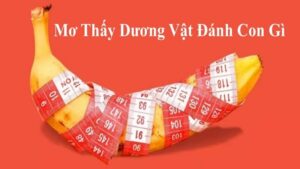 Mơ thấy dương vật đánh con gì dễ trúng nhất và 23 cách đánh