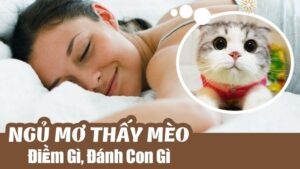 Mơ thấy mèo chết đánh con gì? Tiết lộ 7 điềm báo lành dữ