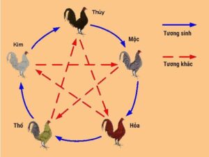 Cách xem ngày đá gà: 5 cách xem đá gà bách chiến bách thắng