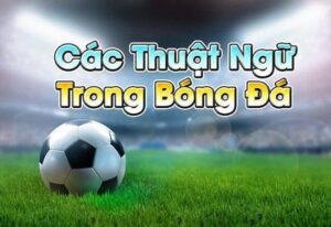 Thuật ngữ cá độ bóng đá: Các thuật ngữ cá độ bóng đá hay nhất