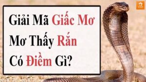 Chiêm bao thấy rắn hổ mang đánh con gì may mắn?