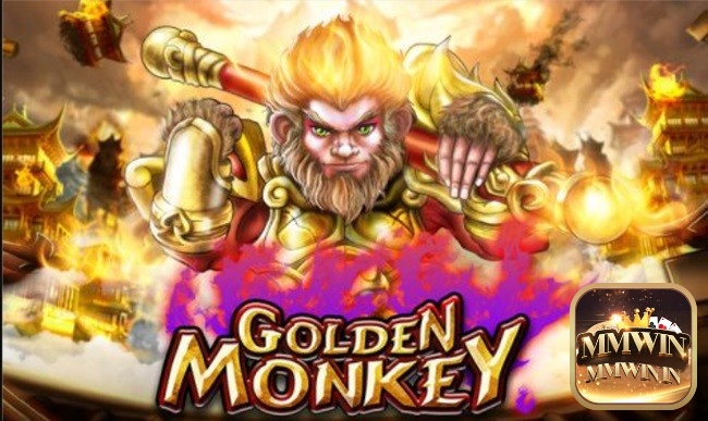 Golden Monkey slot có 5 cuộn và 50 dòng thanh toán cơ bản