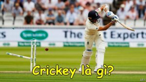 Cricket là gì? Cách chơi và các hình thức chơi phổ biến