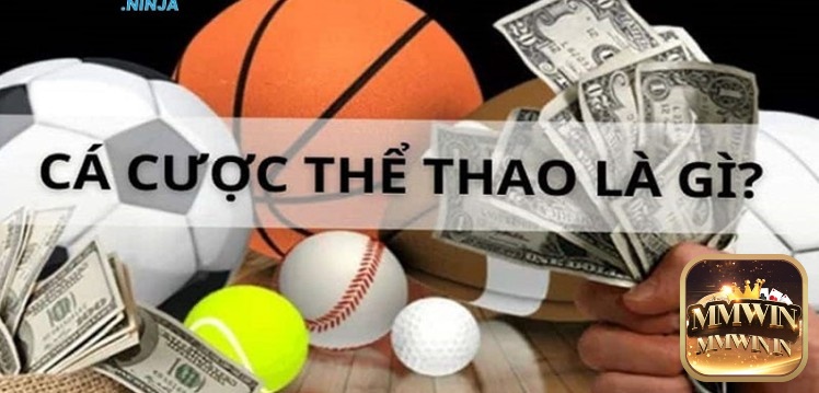 Tìm hiểu thông tin về hình thức cá cược thể thao