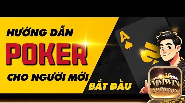 Trước khi đi sâu vào hướng dẫn chơi poker cho người mới cần nắm vững cấu trúc bộ bài