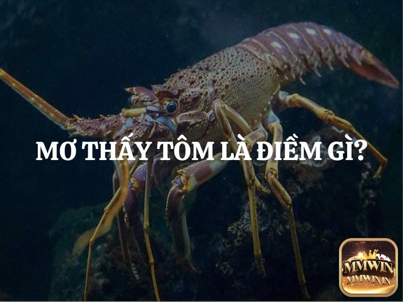 Mơ thấy tôm chứa đựng điềm báo nào trong tương lai? 