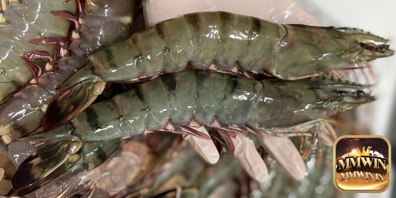 Số đề khi mơ thấy tôm tùy thuộc theo từng bối cảnh mơ 