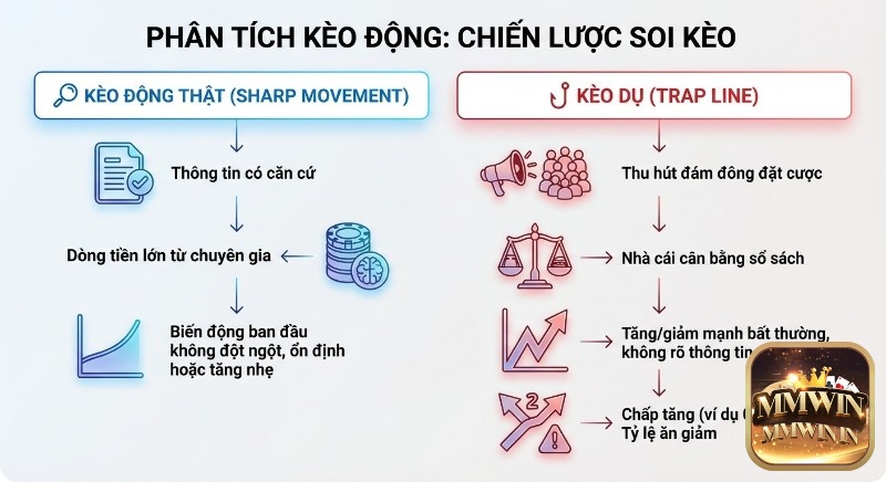 Sơ đồ phân biệt kèo động thật và kèo dụ giúp người chơi soi kèo hiệu quả, nhận diện biến động bất thường